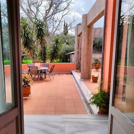 Olive Garden * Kalligoni