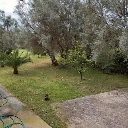 Case de vacanță Olive Garden